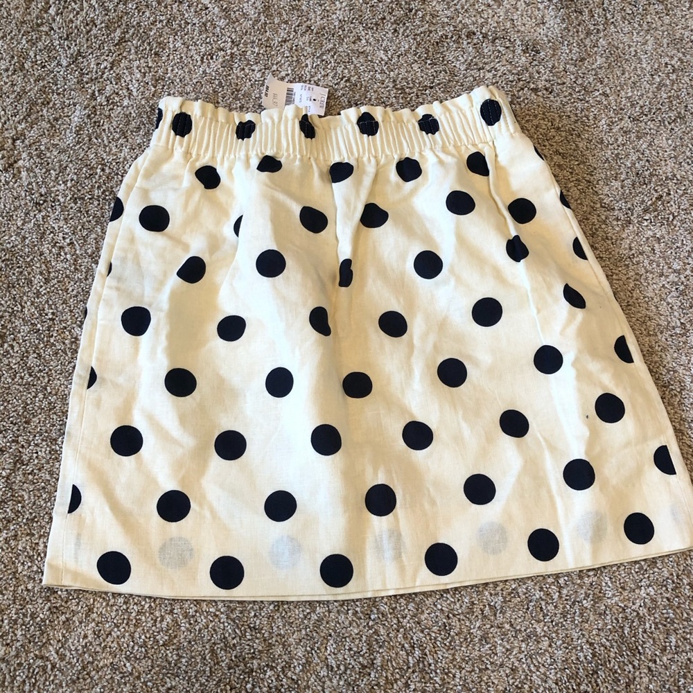 J Crew Skirt